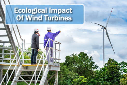 Ecological Impact Of Wind Turbines